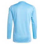 aston villa adidas goalkeeper shirt 2024-25 – long sleeve – 201964005 Collection - Official Aston Villa Shirts & Jerseys