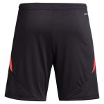 aston villa adidas goalkeeper shorts 2024-25 – 201964002 with custom printing Collection - Official Aston Villa Shirts & Jerseys