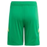 aston villa adidas goalkeeper shorts 2024-25 – kids – 201964012 with custom printing Collection - Official Aston Villa Shirts & Jerseys