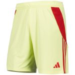 aston villa adidas goalkeeper shorts 2025-26 with custom printing Collection - Official Aston Villa Shirts & Jerseys