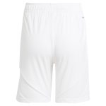 aston villa adidas home shorts 2024-25 with custom printing Collection - Official Aston Villa Shirts & Jerseys